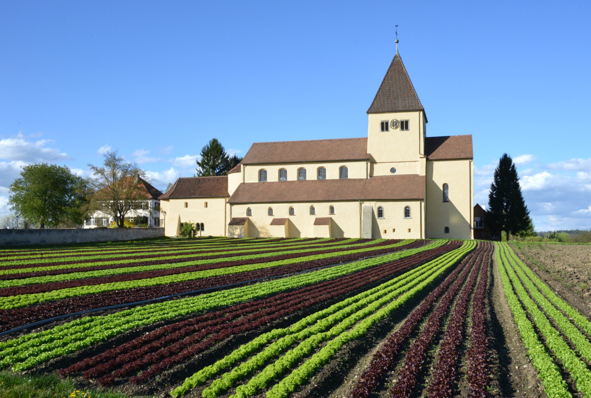 Welterbe Reichenau Klosterinsel Reichenau